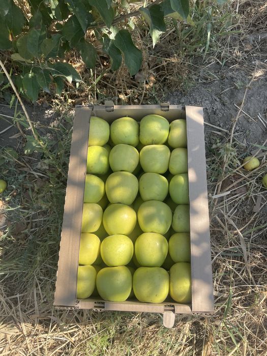 Продам землю 62 га