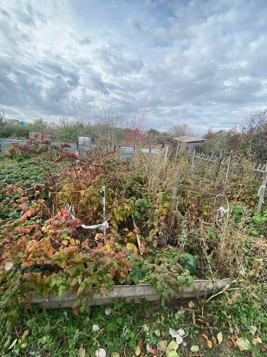 Продам Дачу в городе 4линия