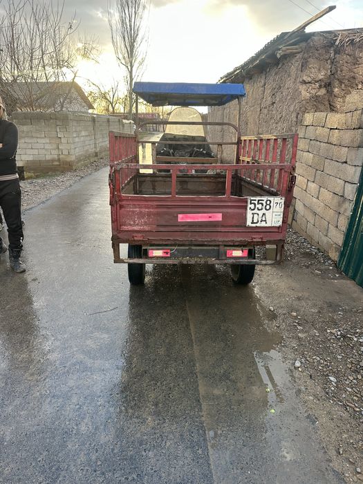 Muravi sotladi yili 2014