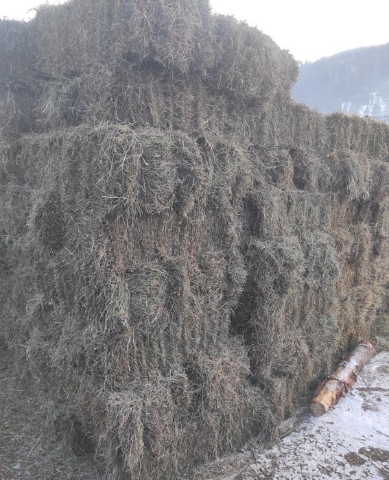 Baloti otavă / fan de grădină