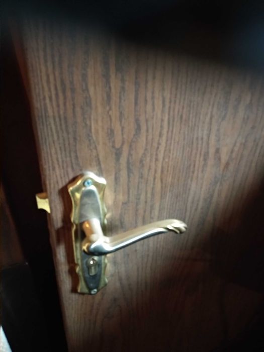 Ușă interior cu mâner 120 Ron