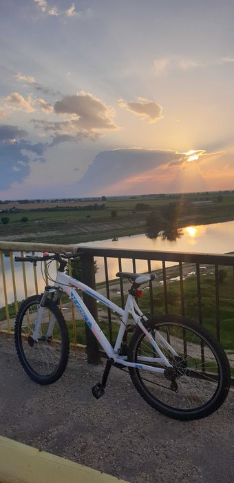 Bicicleta dama xfact