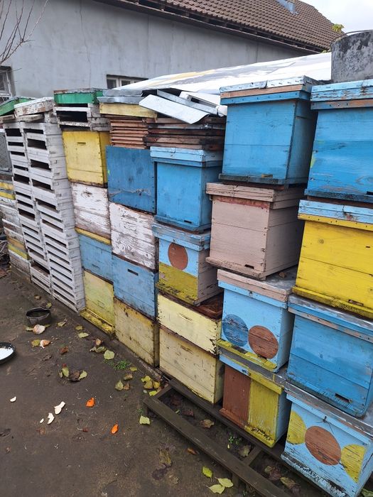 Cutii cu site pentru  extras mierea.