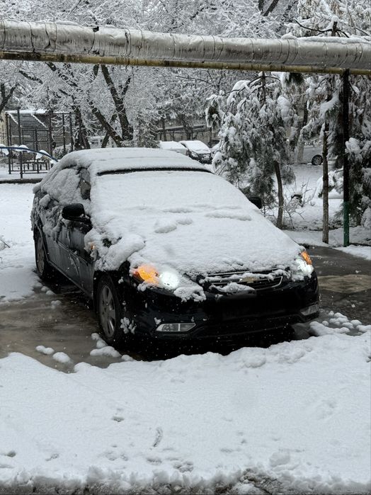 2022 jentra kraska toza