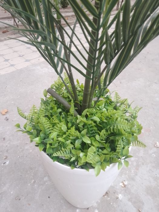 Продам срочно искуственную пальму