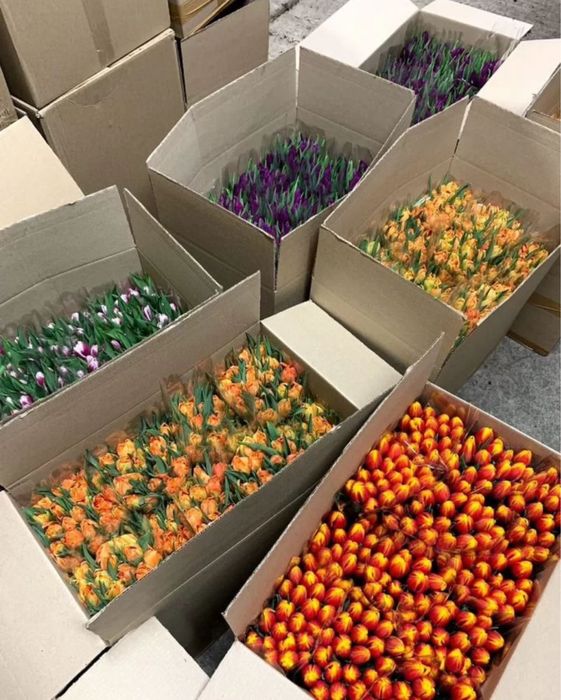 Розы тюльпаны букеты