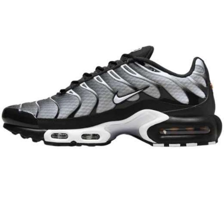 Nike Tn Air Max Plus Silver Edition