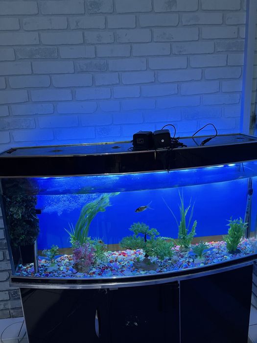 Akvarium sotiladi