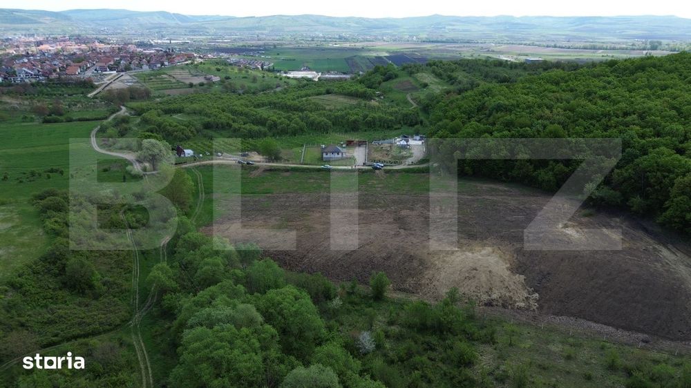 Teren 15.100 mp la baza padurii – ideal parcelare | 14 loturi | priv