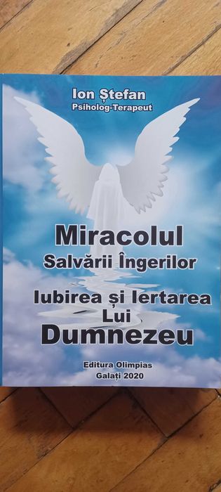 6 carti psihoterapeut Stefan Ion, Miracolul salvarii ingerilor