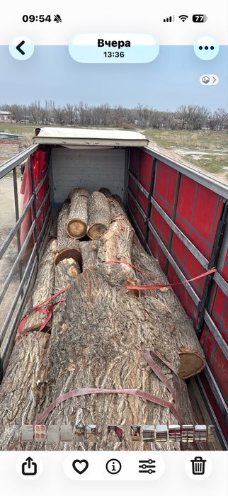 Продам Лес КАРАГАЧ