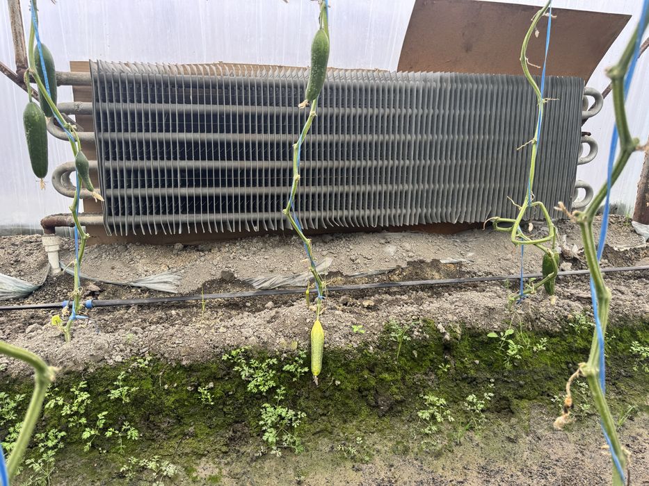 Катта оценковый регистр