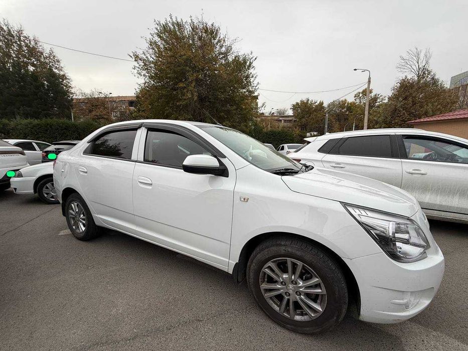 Cobalt gx-style at plus