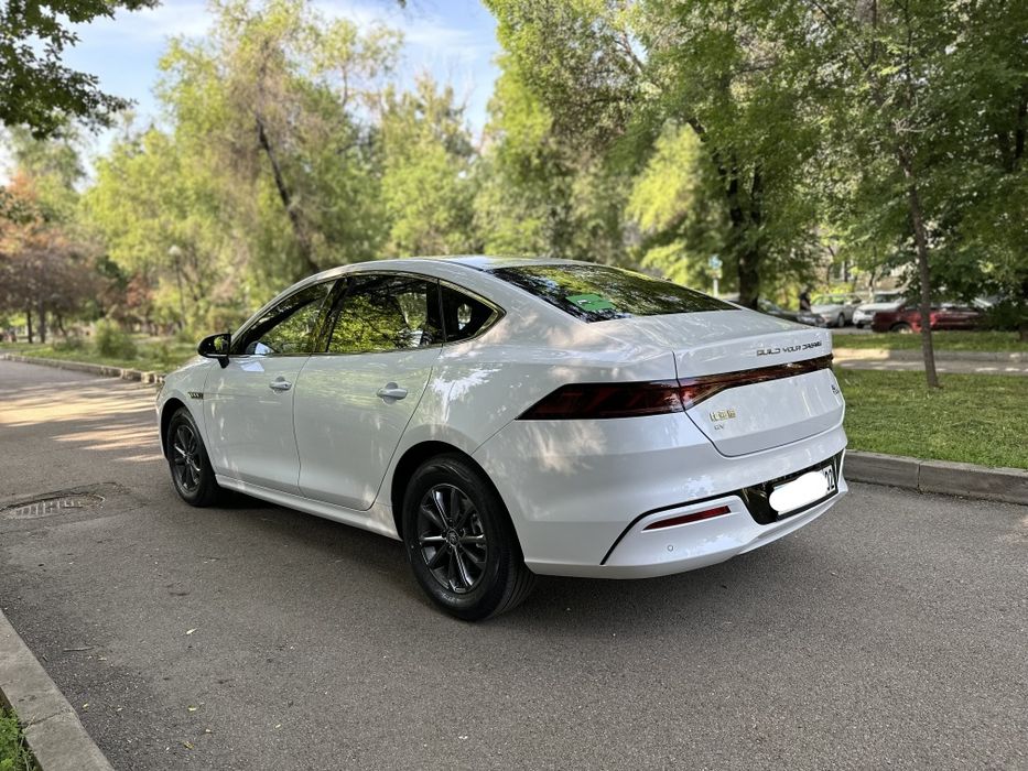 Авто в аренду. Byd Qin Plus EV 510 km.