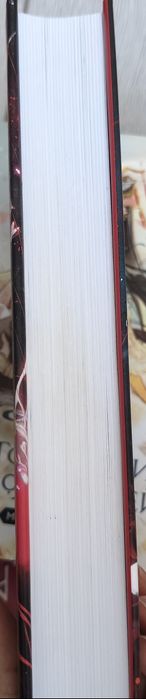 «Благословение небожителей» 1 и 2 том