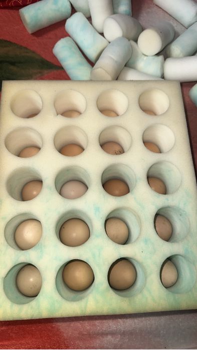 oua de matase japoneza pret 8 lei oul