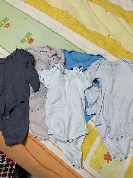 Lot body marime 18-24