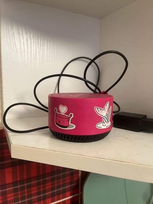 Алиса умный калонка