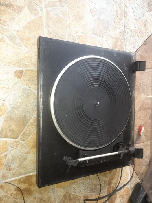 Pikupuri import germania