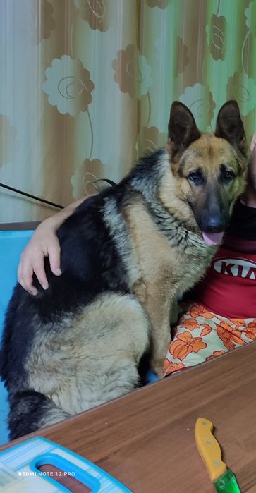 Ищем подружку для вязки