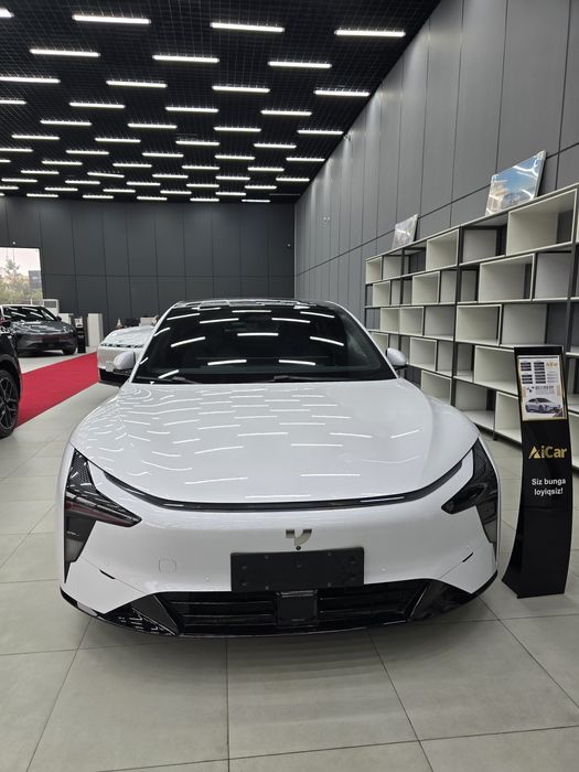 Jiu Yue 07 robo Car