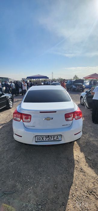Малибу-1 поз-2  2014