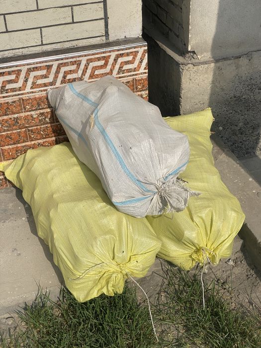 Tol qirrindisi Apilka sotiladi