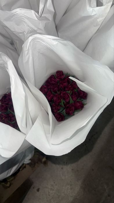 Тюльпаны оптом 385.Прямая поставка