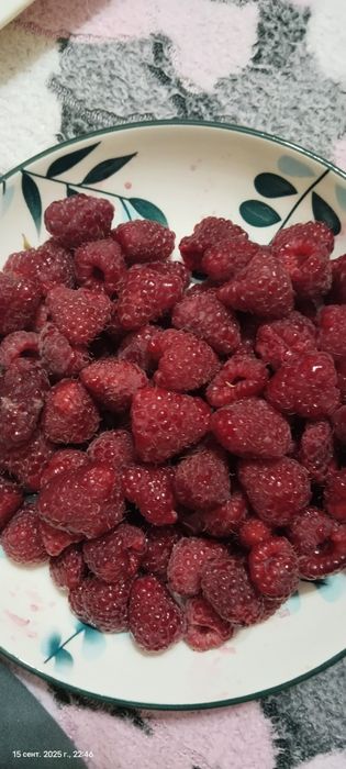 Дача на 19 маршруте