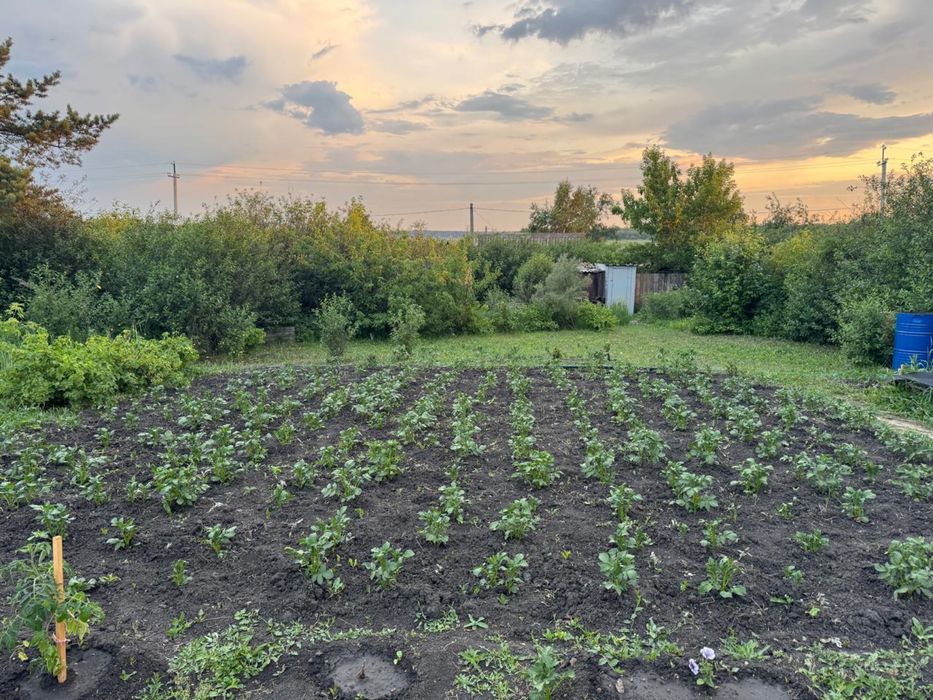 Продам дачу д/о Каштан