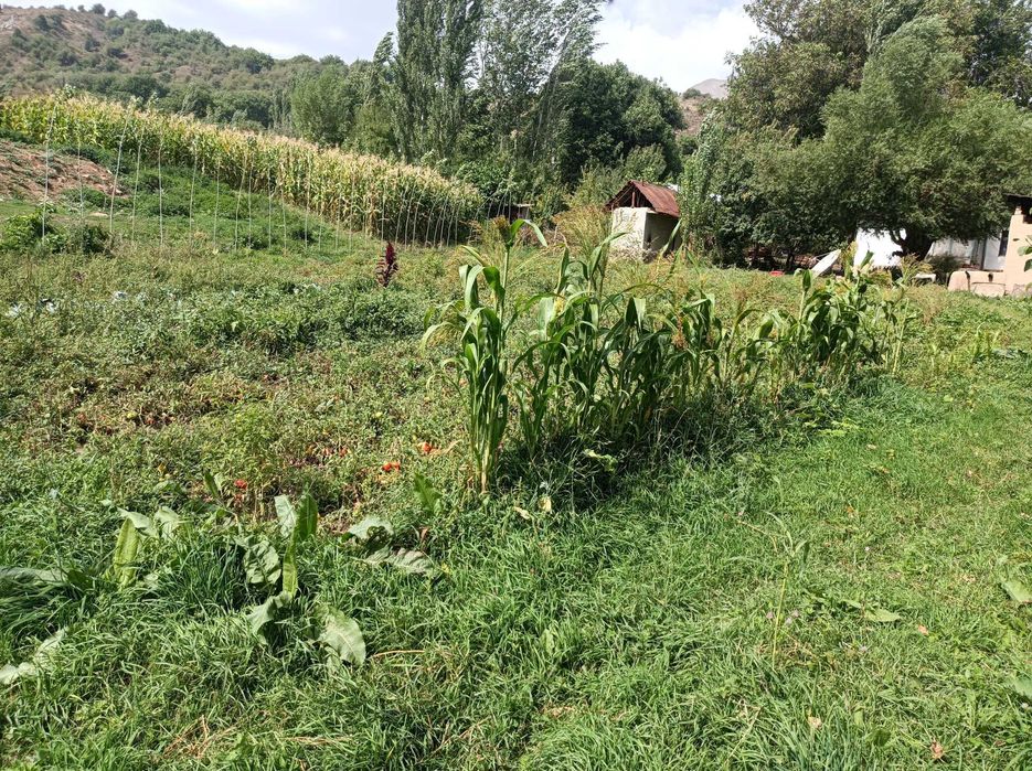 Srochna uchastka sotiladi  15sotix