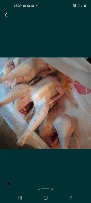 Куры бульонные домашние несушки