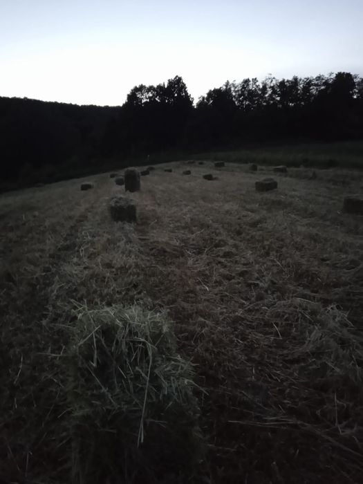 Baloți fan și baloți ovaz