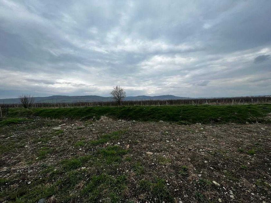 Teren PUZ aprobat Terezian | 804 mp / 948 mp | Utilități | Proprietar