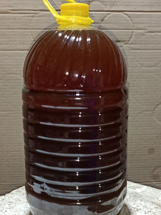 yoĝlar Fri baliq yoĝlari