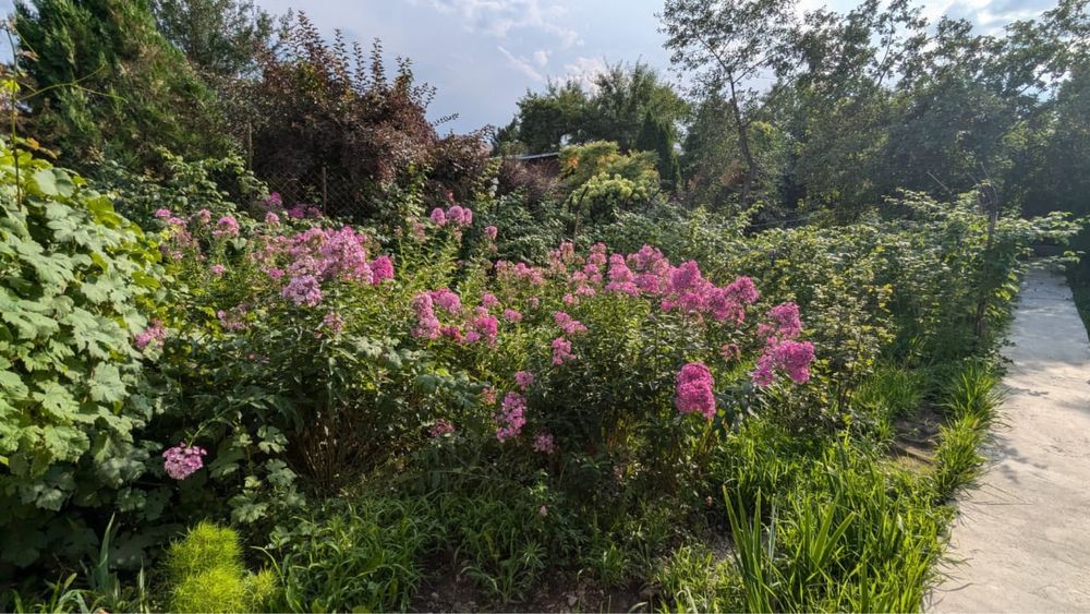 Продам дачу с земельным участком