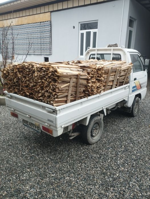 Yozgi quruq otin dastafka vodiy boylab