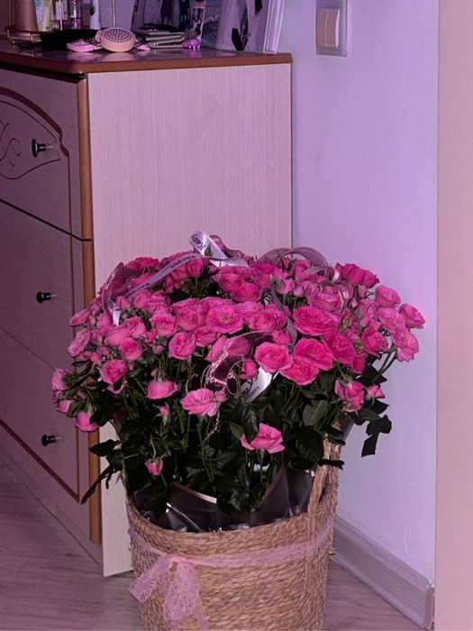 Цветы (кустовые розы)