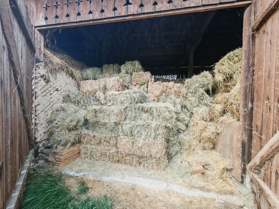 Baloți dreptunghiulari, mici, de fân și otavă.