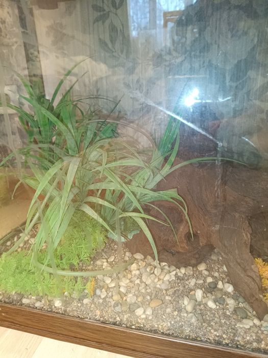 Продам аквариум JEBO