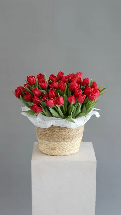 Тюльпаны оптом и розница