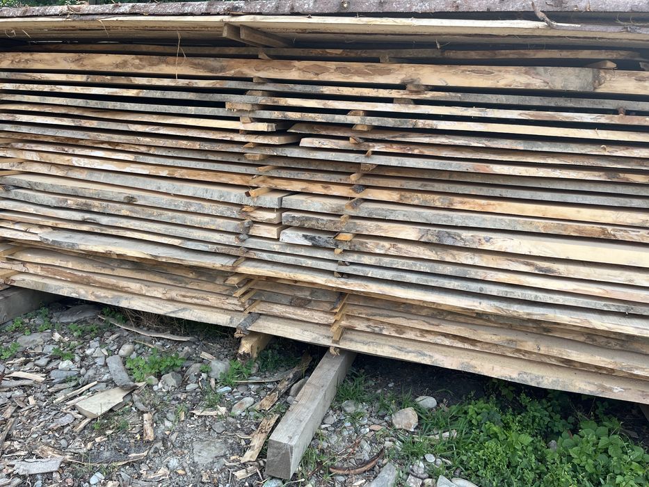 Cherestea din Paltin