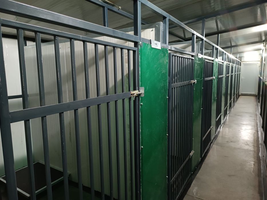 Pensiune canina Brasov