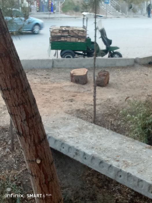 Утин Бир мелон Бир муравей. Доставка бар