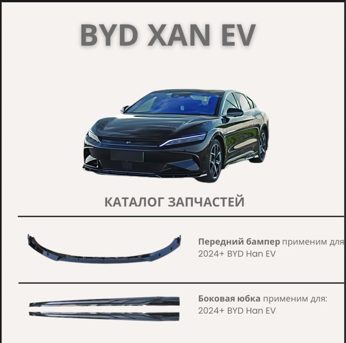 BYD HAN body kid