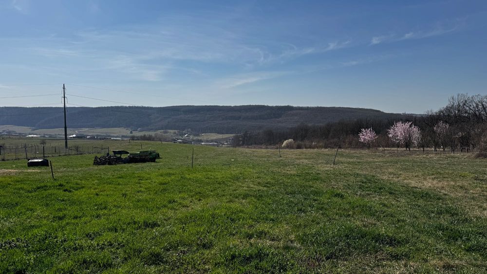 Teren intravilan de vânzare în Betfia, Sânmartin – 1.436 mp, asfalt și utilități la gard
