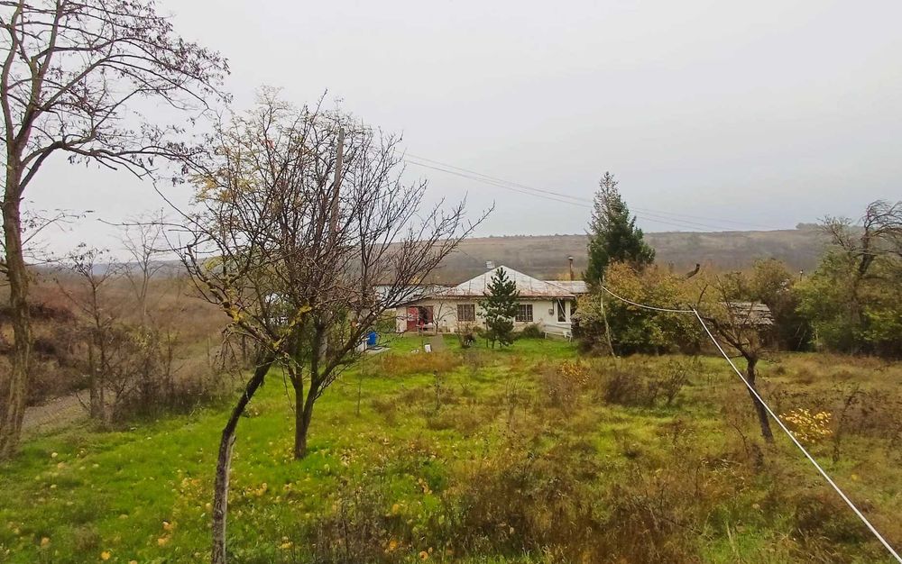 Vand casa + teren 5300mp intravilan si 7300mp extravilan