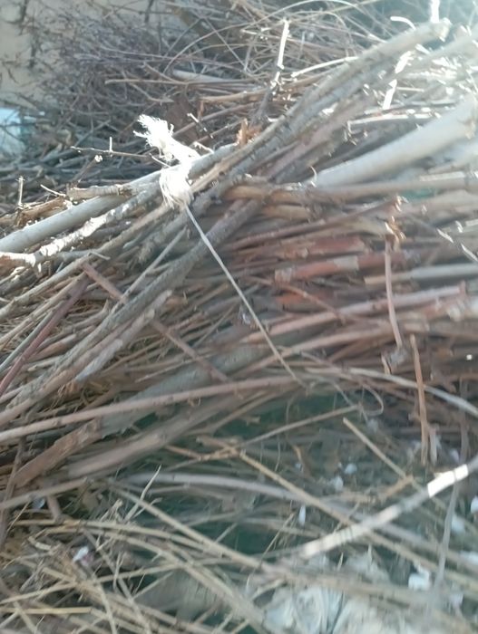 Утин тезда сотилади