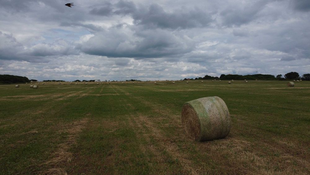 ВИДЕО услуги с ДРОН