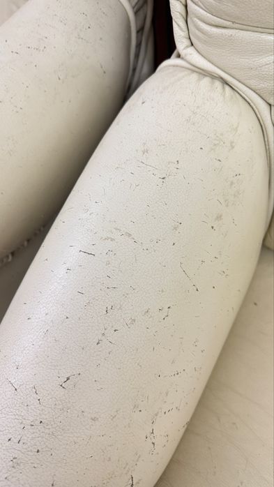 Диван и кресла кожанный бу